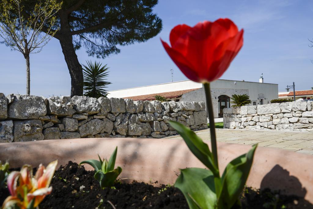 Masseria Gravelle Hotel Turi Buitenkant foto